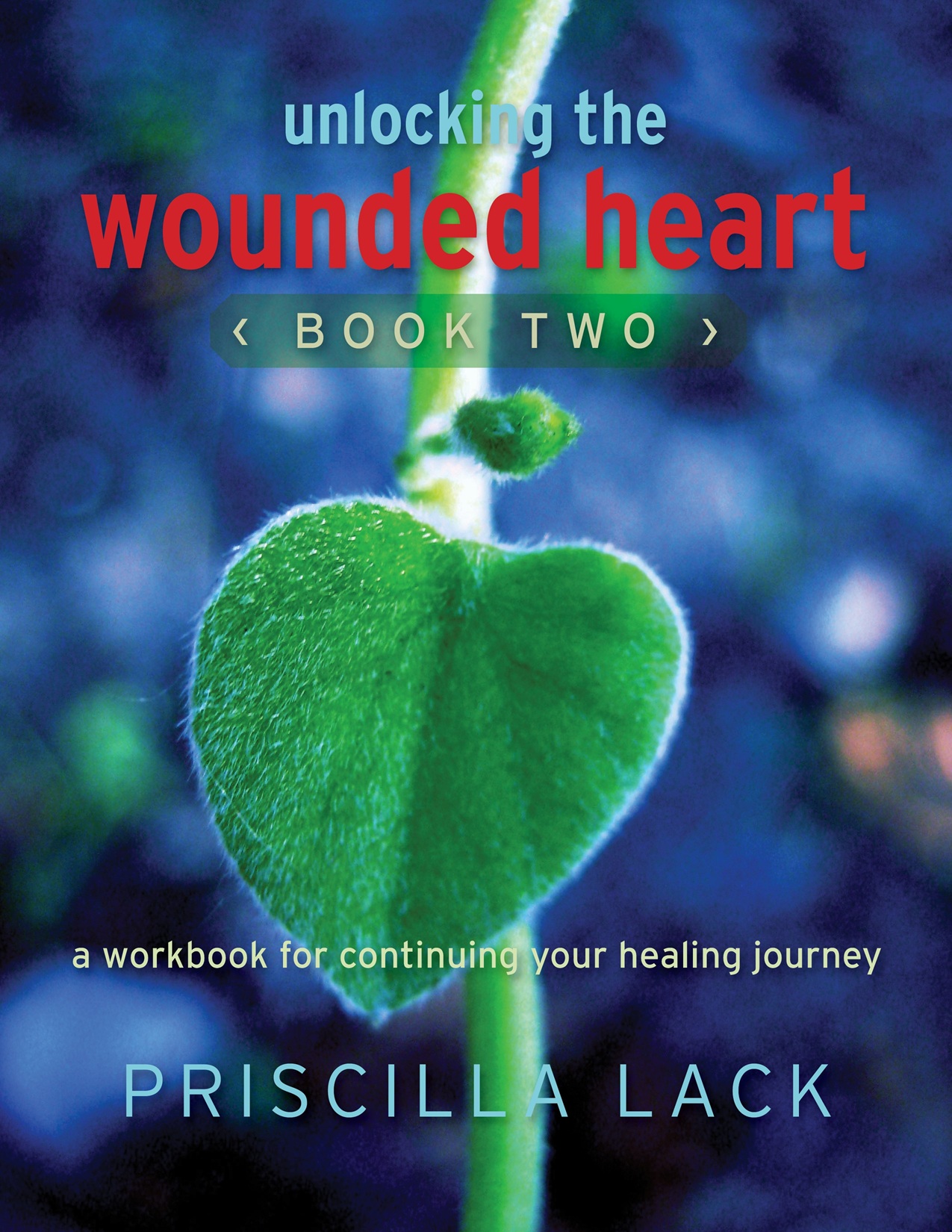 New! - Unlocking the Wounded Heart (Book Two)