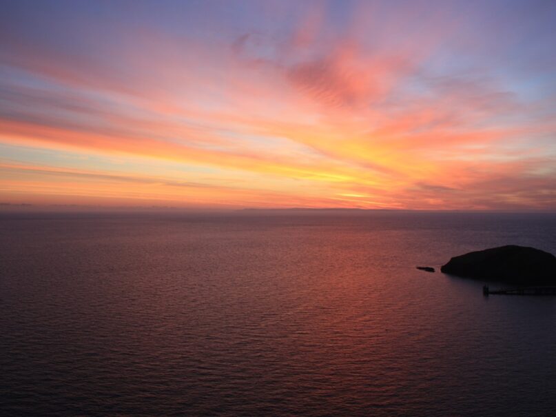 {{brizy_dc_image_alt entityId=